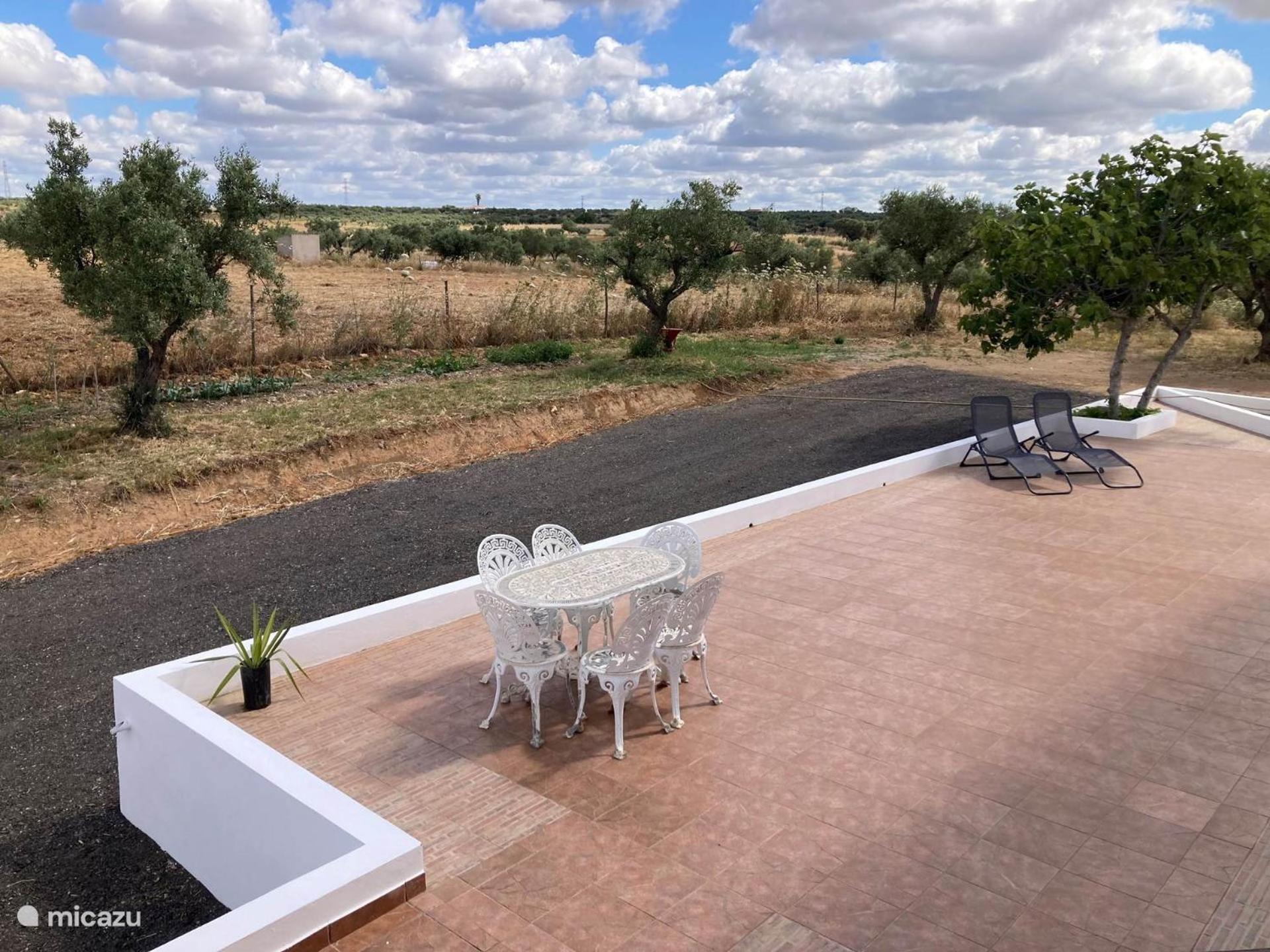 לינה וארוחת בוקר Amareleja Quinta Monte Da Azinheira מראה חיצוני תמונה